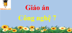 Giáo án Công nghệ 7 (sách mới)