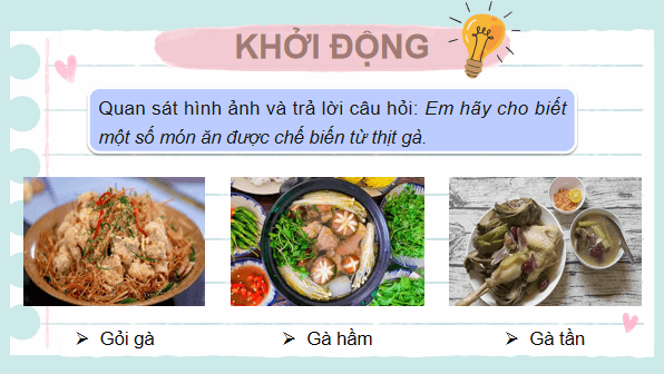 Giáo án điện tử Công nghệ 7 Kết nối tri thức Bài 12: Chăn nuôi gà thịt trong nông hộ | PPT Công nghệ 7