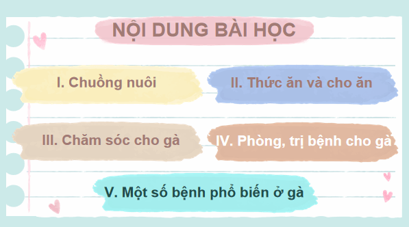 Giáo án điện tử Công nghệ 7 Kết nối tri thức Bài 12: Chăn nuôi gà thịt trong nông hộ | PPT Công nghệ 7