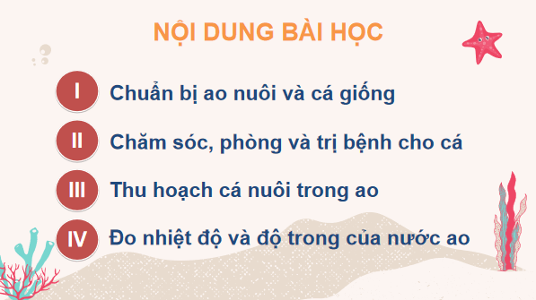 Giáo án điện tử Công nghệ 7 Kết nối tri thức Bài 15: Nuôi cá ao | PPT Công nghệ 7