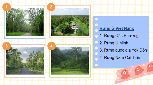 Giáo án điện tử Công nghệ 7 Kết nối tri thức Ôn tập chương 2 | PPT Công nghệ 7