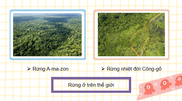 Giáo án điện tử Công nghệ 7 Kết nối tri thức Ôn tập chương 2 | PPT Công nghệ 7