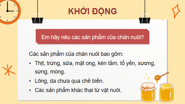 Giáo án điện tử Công nghệ 7 Kết nối tri thức Ôn tập chương 3 | PPT Công nghệ 7