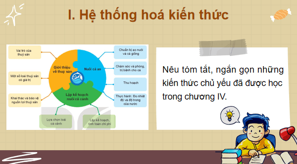 Giáo án điện tử Công nghệ 7 Kết nối tri thức Ôn tập chương 4 | PPT Công nghệ 7