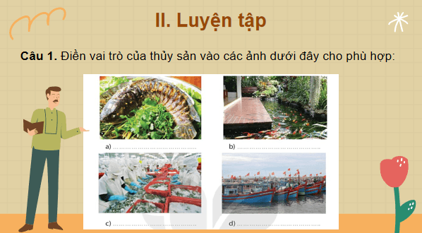 Giáo án điện tử Công nghệ 7 Kết nối tri thức Ôn tập chương 4 | PPT Công nghệ 7