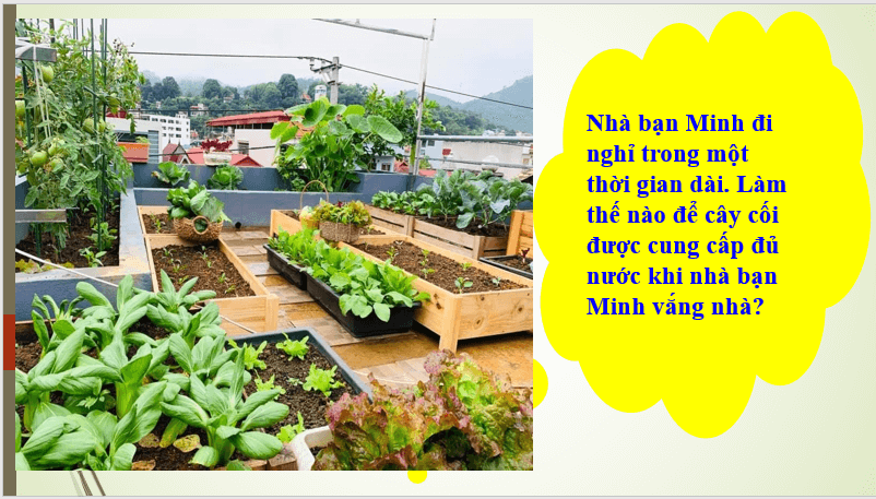 Giáo án điện tử Công nghệ 8 Ôn tập chương 5 | PPT Công nghệ 8 Kết nối tri thức