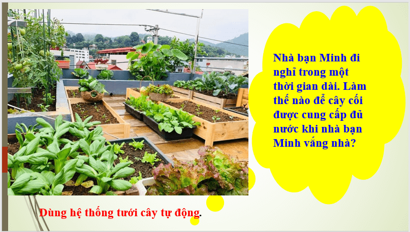 Giáo án điện tử Công nghệ 8 Ôn tập chương 5 | PPT Công nghệ 8 Kết nối tri thức