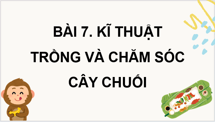 Giáo án điện tử Công nghệ 9 Kết nối tri thức Bài 7: Kĩ thuật trồng và chăm sóc cây chuối | PPT Công nghệ 9