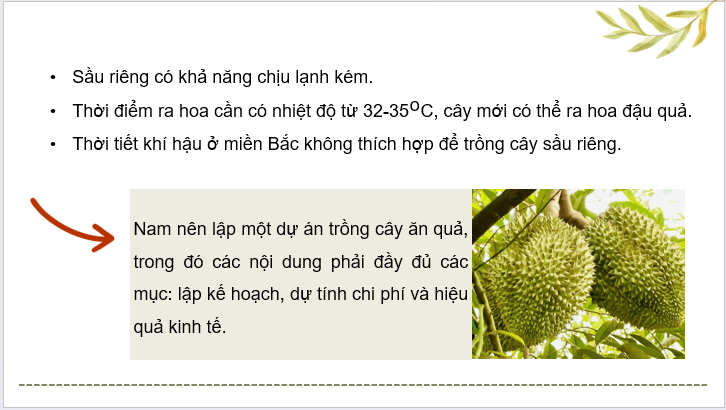 Giáo án điện tử Công nghệ 9 Kết nối tri thức Bài 8: Dự án: Trồng cây ăn quả | PPT Công nghệ 9