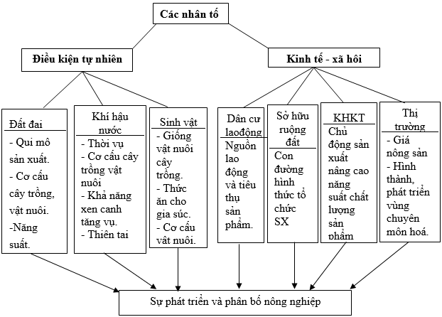 Giáo án Địa Lí 10 Bài 28: Địa lí ngành trồng trọt (mới, chuẩn nhất)