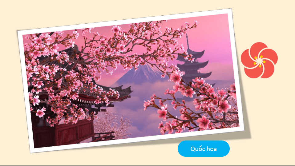 Giáo án điện tử Địa 11 Kết nối tri thức Bài 23: Vị trí địa lí, điều kiện tự nhiên, dân cư và xã hội Nhật Bản | PPT Địa Lí 11