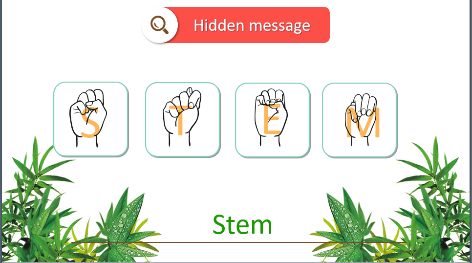 Giáo án điện tử Địa 11 Kết nối tri thức Bài 5: Thực hành viết báo cáo về đặc điểm và biểu hiện của nền kinh tế tri thức | PPT Địa Lí 11