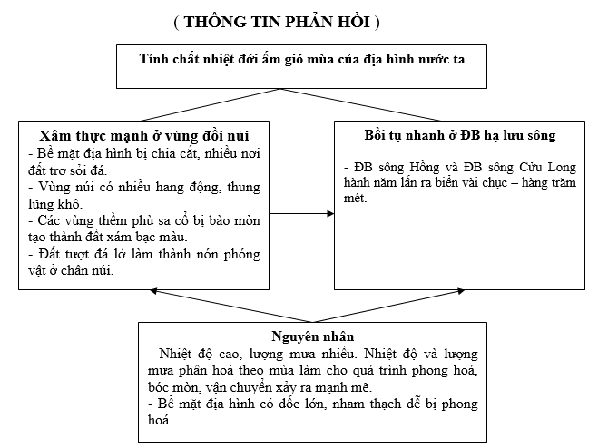 Giáo án Địa Lí 12 Bài 10: Thiên nhiên nhiệt đới ẩm gió mùa (tiếp theo) | Giáo án Địa Lí 12 mới, chuẩn nhất