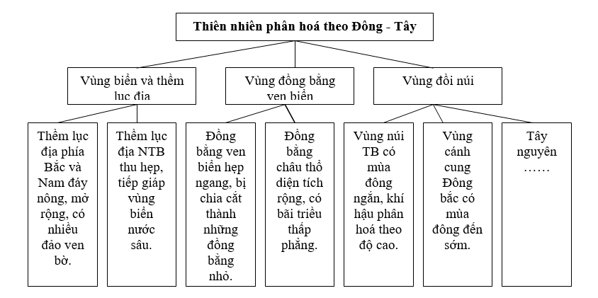 Giáo án Địa Lí 12 Bài 11: Thiên nhiên phân hóa đa dạng | Giáo án Địa Lí 12 mới, chuẩn nhất