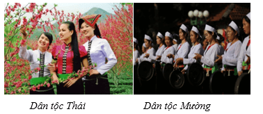 Giáo án Địa Lí 12 Kết nối tri thức Bài 25: Phát triển nông nghiệp, lâm nghiệp và thuỷ sản ở Bắc Trung Bộ