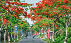 Giáo án Địa Lí 12 Chân trời sáng tạo Bài 26: Phát triển kinh tế - xã hội ở Đồng bằng sông Hồng