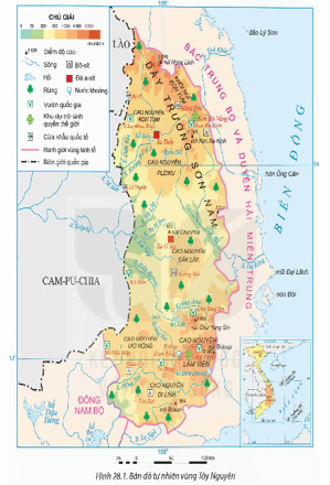 Giáo án Địa Lí 12 Kết nối tri thức Bài 28: Khai thác thế mạnh để phát triển kinh tế ở Tây Nguyên