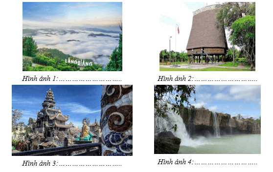 Giáo án Địa Lí 12 Kết nối tri thức Bài 28: Khai thác thế mạnh để phát triển kinh tế ở Tây Nguyên