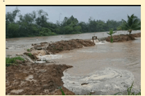 Giáo án Địa Lí 12 Kết nối tri thức Bài 31: Thực hành: Viết báo cáo về biến đổi khí hậu ở Đồng bằng sông Cửu Long