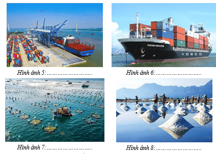 Giáo án Địa Lí 12 Kết nối tri thức Bài 33: Phát triển kinh tế và đảm bảo quốc phòng an ninh ở Biển Đông và các đảo, quần đảo