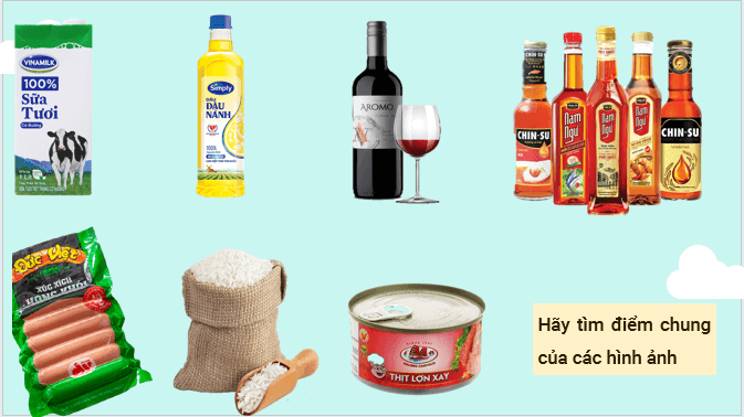 Giáo án điện tử Địa Lí 12 Kết nối tri thức Bài 11: Vấn đề phát triển ngành nông nghiệp | PPT Địa 12