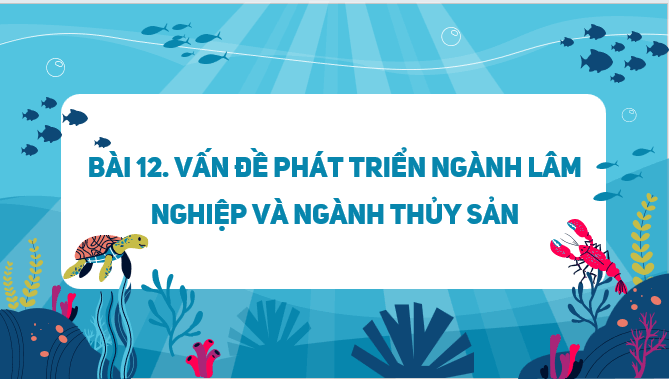 Giáo án điện tử Địa Lí 12 Kết nối tri thức Bài 12: Vấn đề phát triển ngành lâm nghiệp và ngành thuỷ sản | PPT Địa 12