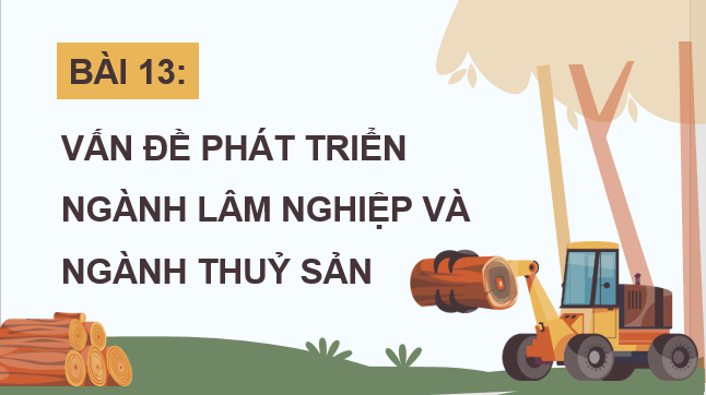 Giáo án điện tử Địa Lí 12 Chân trời sáng tạo Bài 13: Vấn đề phát triển lâm nghiệp và thuỷ sản | PPT Địa 12