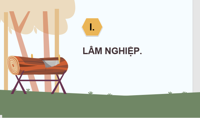 Giáo án điện tử Địa Lí 12 Chân trời sáng tạo Bài 13: Vấn đề phát triển lâm nghiệp và thuỷ sản | PPT Địa 12