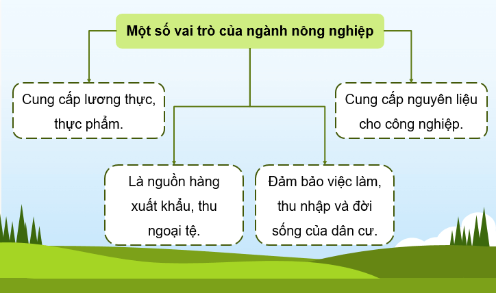 Giáo án điện tử Địa Lí 12 Chân trời sáng tạo Bài 14: Tổ chức lãnh thổ nông nghiệp | PPT Địa 12