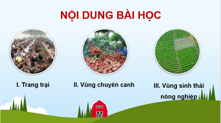 Giáo án điện tử Địa Lí 12 Chân trời sáng tạo Bài 14: Tổ chức lãnh thổ nông nghiệp | PPT Địa 12