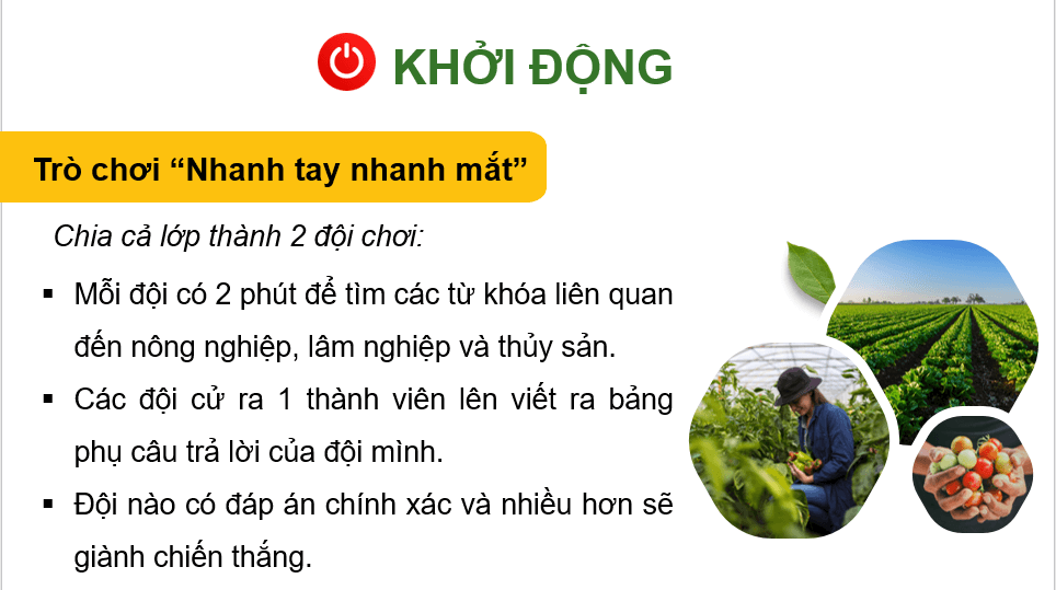 Giáo án điện tử Địa Lí 12 Chân trời sáng tạo Bài 15: Thực hành: Tìm hiểu vai trò, tình hình phát triển và chuyển dịch cơ cấu ngành nông nghiệp, lâm nghiệp, thuỷ sản | PPT Địa 12