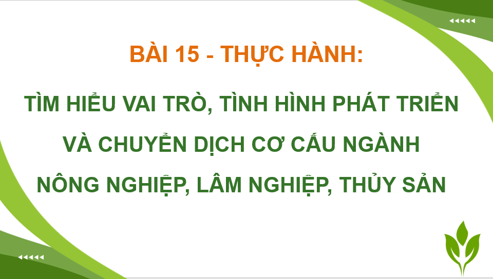 Giáo án điện tử Địa Lí 12 Chân trời sáng tạo Bài 15: Thực hành: Tìm hiểu vai trò, tình hình phát triển và chuyển dịch cơ cấu ngành nông nghiệp, lâm nghiệp, thuỷ sản | PPT Địa 12