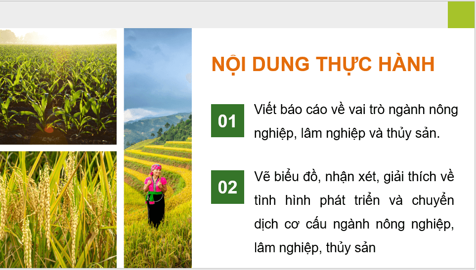 Giáo án điện tử Địa Lí 12 Chân trời sáng tạo Bài 15: Thực hành: Tìm hiểu vai trò, tình hình phát triển và chuyển dịch cơ cấu ngành nông nghiệp, lâm nghiệp, thuỷ sản | PPT Địa 12