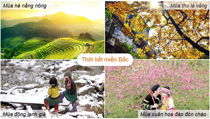 Giáo án điện tử Địa Lí 12 Chân trời sáng tạo Bài 2: Thiên nhiên nhiệt đới ẩm gió mùa | PPT Địa 12