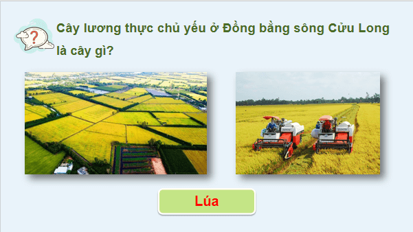 Giáo án điện tử Địa Lí 12 Cánh diều Bài 25: Sử dụng hợp lí tự nhiên để phát triển kinh tế ở Đồng bằng sông Cửu Long | PPT Địa 12