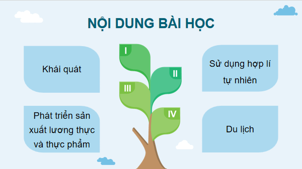 Giáo án điện tử Địa Lí 12 Cánh diều Bài 25: Sử dụng hợp lí tự nhiên để phát triển kinh tế ở Đồng bằng sông Cửu Long | PPT Địa 12