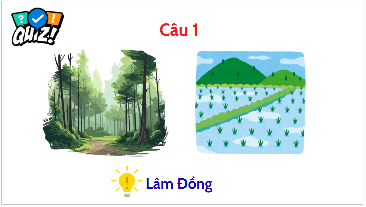 Giáo án điện tử Địa Lí 12 Kết nối tri thức Bài 28: Khai thác thế mạnh để phát triển kinh tế ở Tây Nguyên | PPT Địa 12