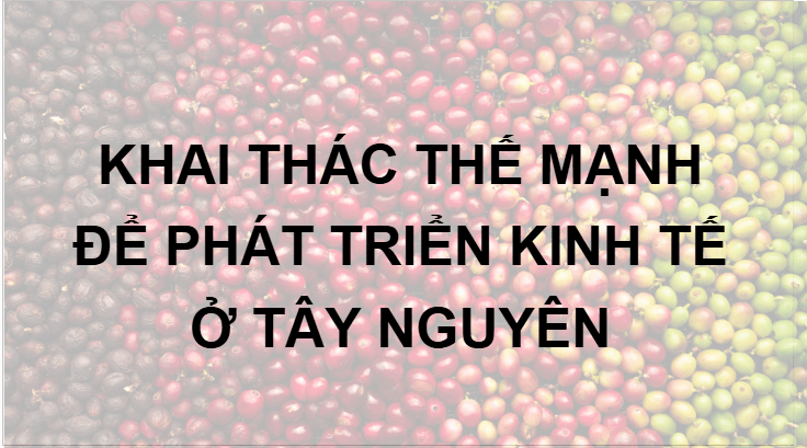 Giáo án điện tử Địa Lí 12 Kết nối tri thức Bài 28: Khai thác thế mạnh để phát triển kinh tế ở Tây Nguyên | PPT Địa 12