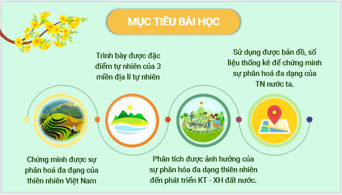Giáo án điện tử Địa Lí 12 Kết nối tri thức Bài 3: Sự phân hoá đa dạng của thiên nhiên | PPT Địa 12
