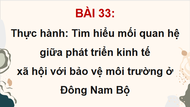 Giáo án điện tử Địa Lí 12 Chân trời sáng tạo Bài 33: Thực hành: Tìm hiểu mối quan hệ giữa phát triển kinh tế - xã hội với bảo vệ môi trường ở Đông Nam Bộ | PPT Địa 12
