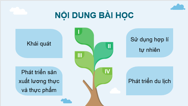 Giáo án điện tử Địa Lí 12 Chân trời sáng tạo Bài 34: Sử dụng hợp lí tự nhiên để phát triển kinh tế ở Đồng bằng sông Cửu Long | PPT Địa 12