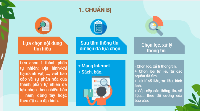 Giáo án điện tử Địa Lí 12 Kết nối tri thức Bài 4: Thực hành: Viết báo cáo về sự phân hóa tự nhiên Việt Nam | PPT Địa 12