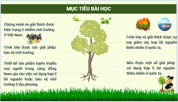 Giáo án điện tử Địa Lí 12 Kết nối tri thức Bài 5: Vấn đề sử dụng hợp lí tài nguyên thiên nhiên và bảo vệ môi trường | PPT Địa 12
