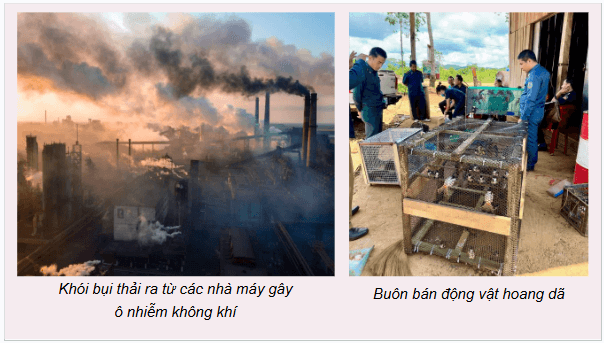 Giáo án điện tử Địa Lí 12 Chân trời sáng tạo Bài 6: Thực hành: Sử dụng hợp lí tài nguyên và bảo vệ môi trường địa phương | PPT Địa 12