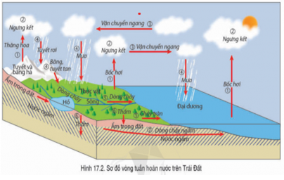 Giáo án Địa Lí 6 Cánh diều Bài 17: Các thành phần chủ yếu của thủy quyển. Tuần hoàn nước trên Trái Đất