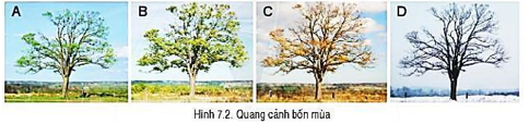 Giáo án Địa Lí 6 Cánh diều Bài 7: Chuyển động của Trái Đất quanh Mặt Trời và các hệ quả địa lí