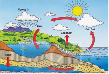 Giáo án Địa Lí 6 Chân trời sáng tạo Bài 16: Thủy quyền. Vòng tuần hoàn nước. Nước ngầm, băng hà