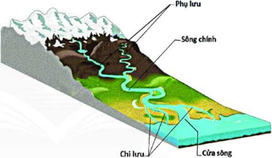 Giáo án Địa Lí 6 Chân trời sáng tạo Bài 17: Sông và hồ