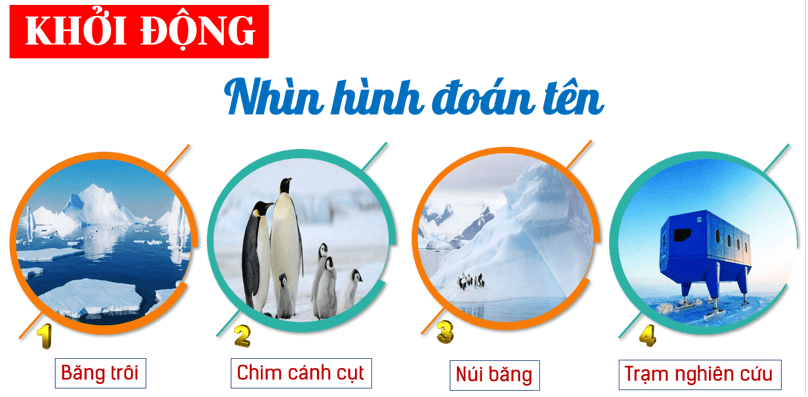 Giáo án Địa Lí 7 Kết nối tri thức Bài 19: Châu Nam Cực