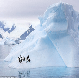 Giáo án Địa Lí 7 Cánh diều Bài 22: Châu Nam Cực